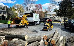 Best Seasonal Cleanup (Spring/Fall)  in Sebring, OH