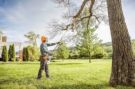 Best Lawn Watering Services  in Sebring, OH