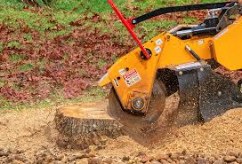 Best Tree Removal  in Sebring, OH