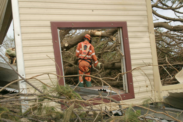 Best Root Management and Removal  in Sebring, OH