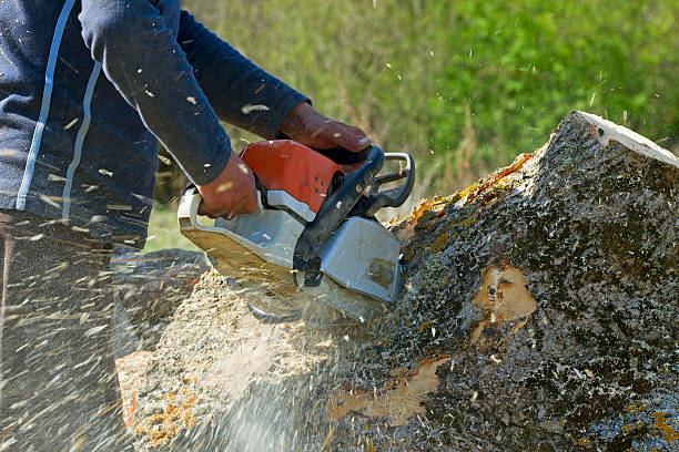 Best Aeration Services  in Sebring, OH